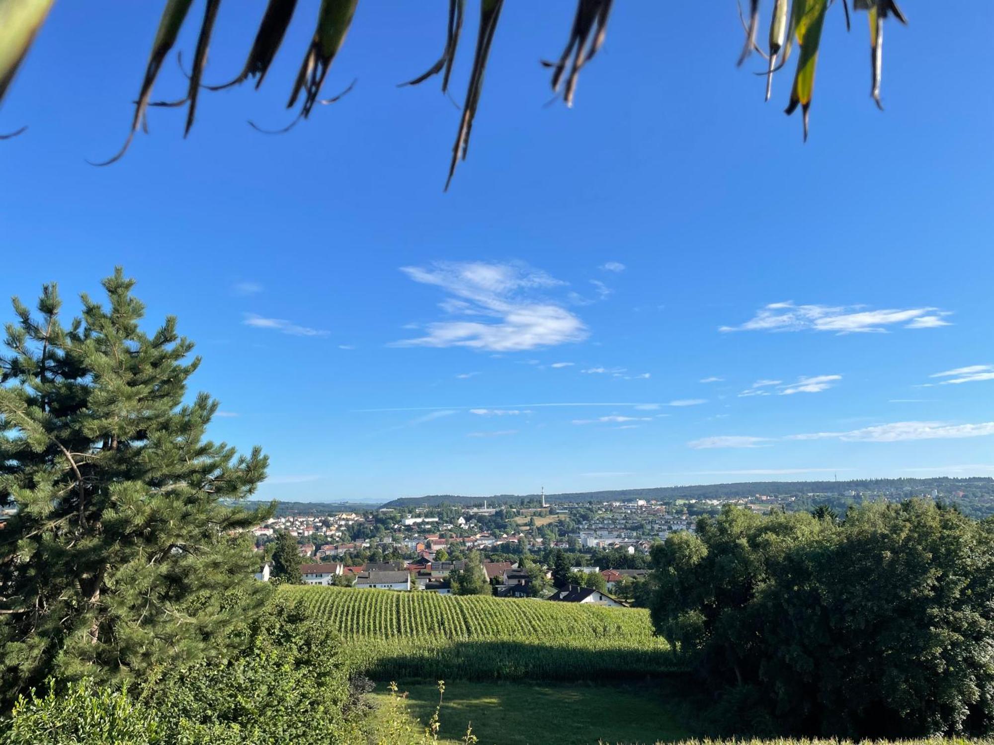 Вилла Beach-House Mit Alpen- Stadt- Und Poolblick , Wlan Пассау Экстерьер фото